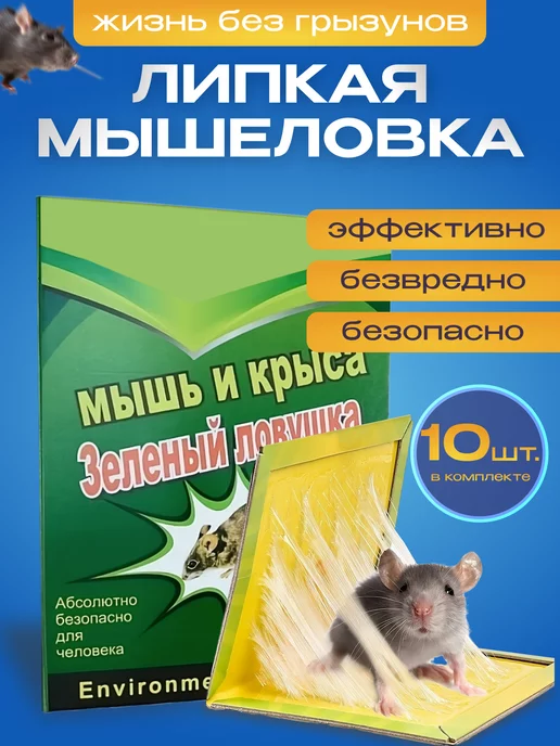 как сделать самодельный капкан для крысы | Дзен