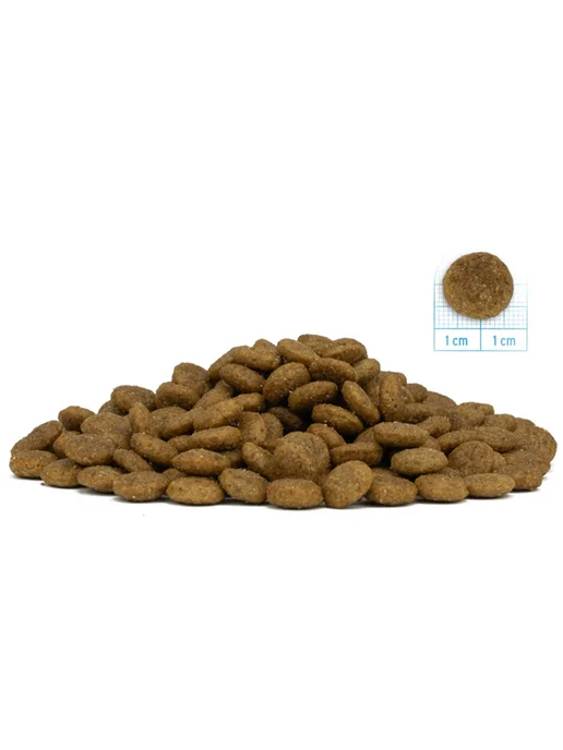 Сухой корм Forza10 Diet для собак, гипоаллергенный, свинина, 12 кг, фото 4