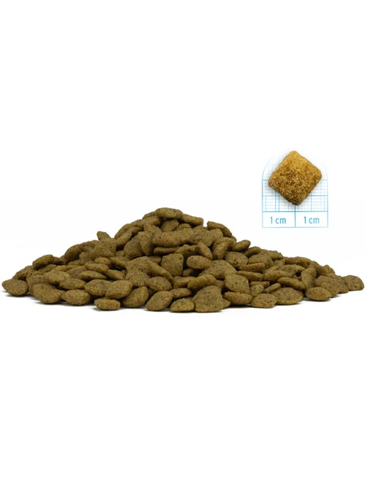 Сухой корм Forza10 Active Gastroenteric для собак, 10 кг, фото 5