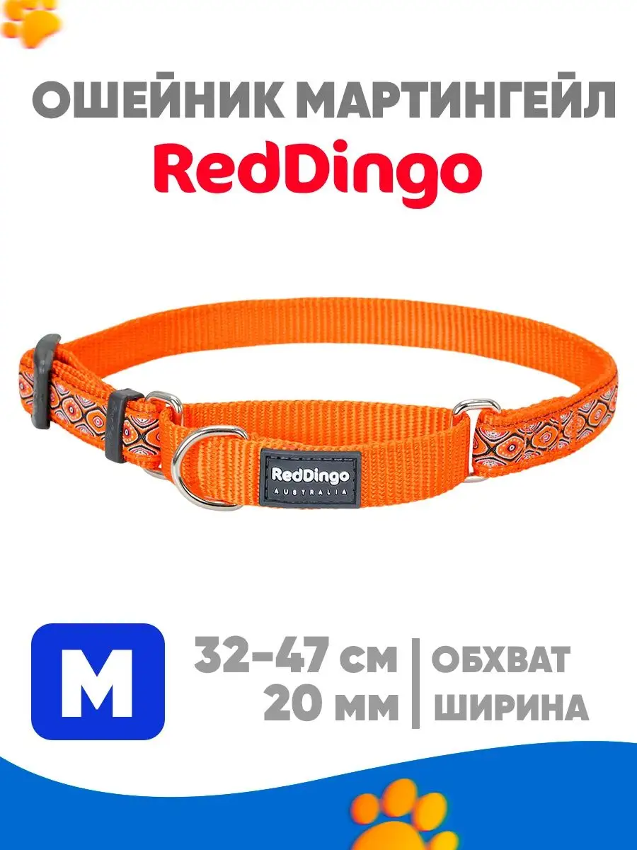 Ошейник мартингейл для собак, RED DINGO 102703586 купить в  интернет-магазине Wildberries