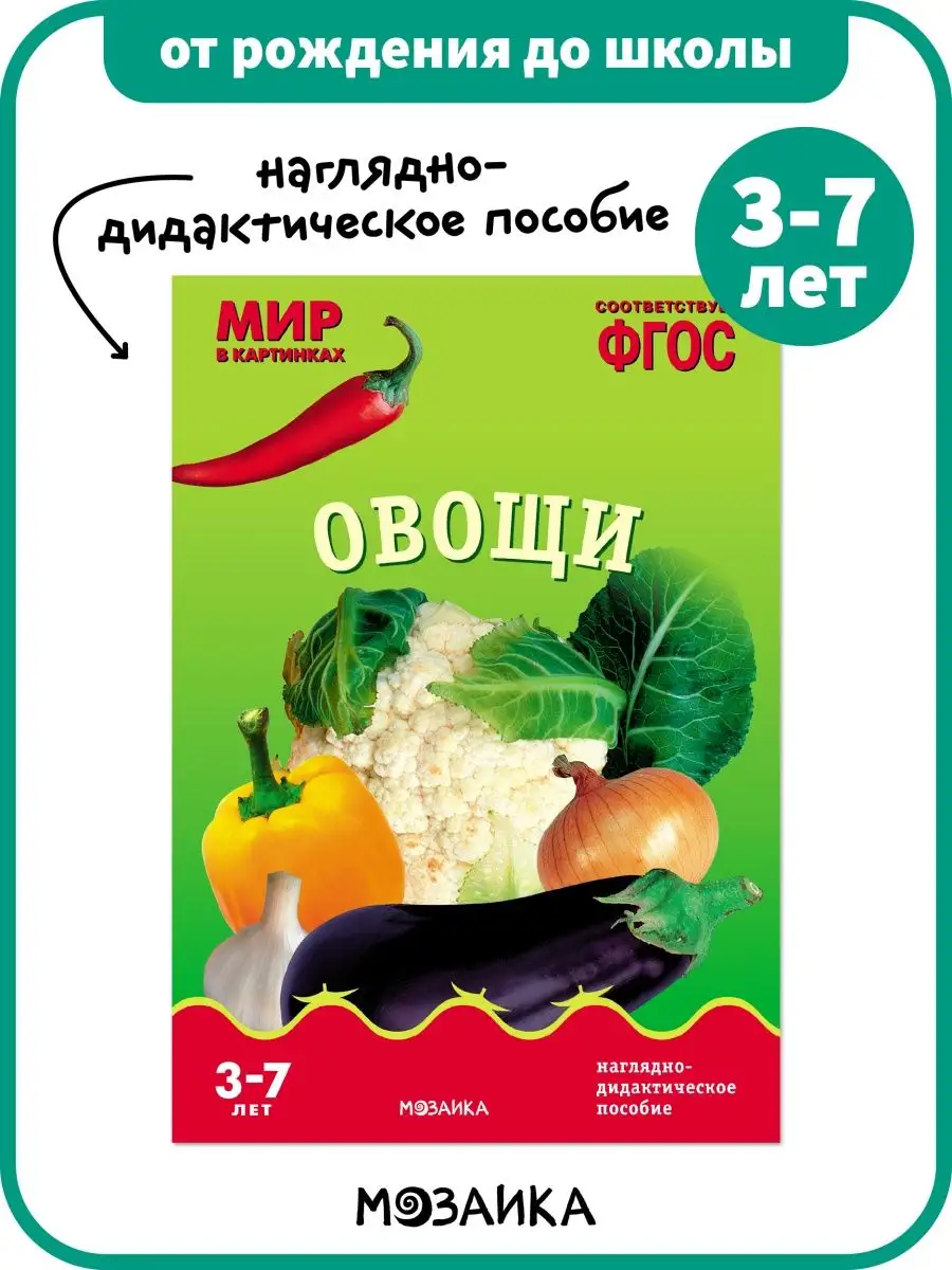 Развивающее пособие для детей, книга овощи, обучение 3+ ОТ РОЖДЕНИЯ ДО  ШКОЛЫ 102766987 купить за 202 ₽ в интернет-магазине Wildberries