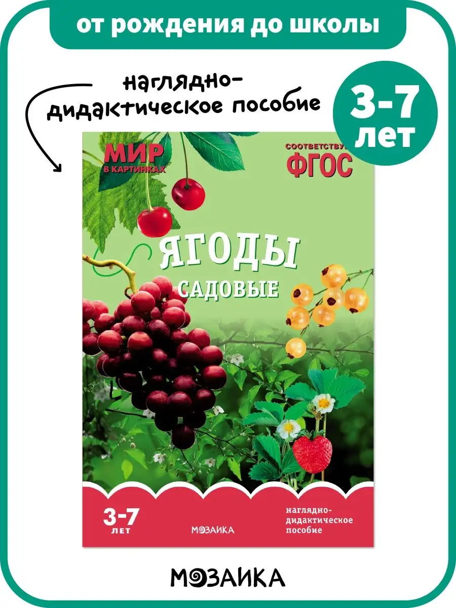 Развивающее пособие для детей, книга ягоды садовые 3+ ОТ РОЖДЕНИЯ ДО ШКОЛЫ  102767179 купить за 241 ₽ в интернет-магазине Wildberries