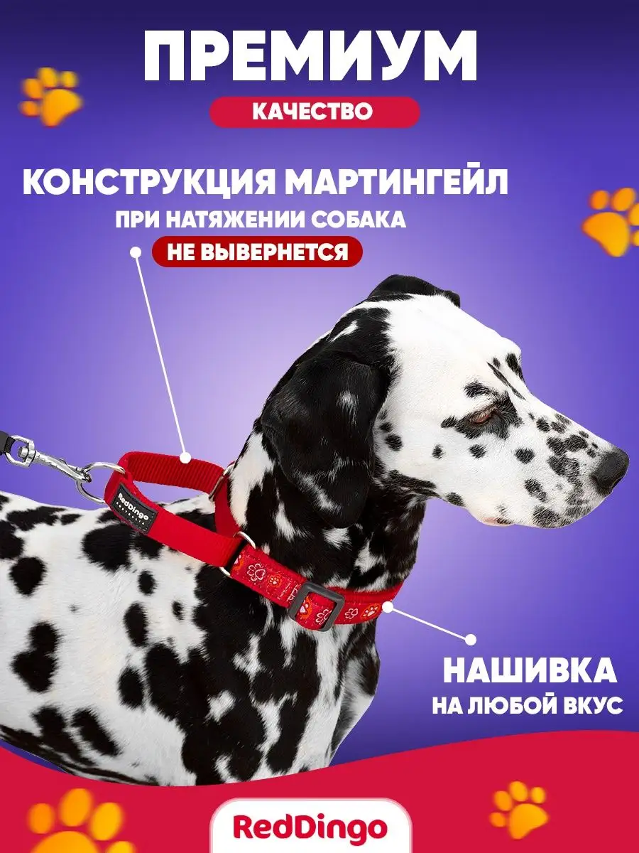 Ошейник мартингейл для собак RED DINGO 102778948 купить в интернет-магазине  Wildberries