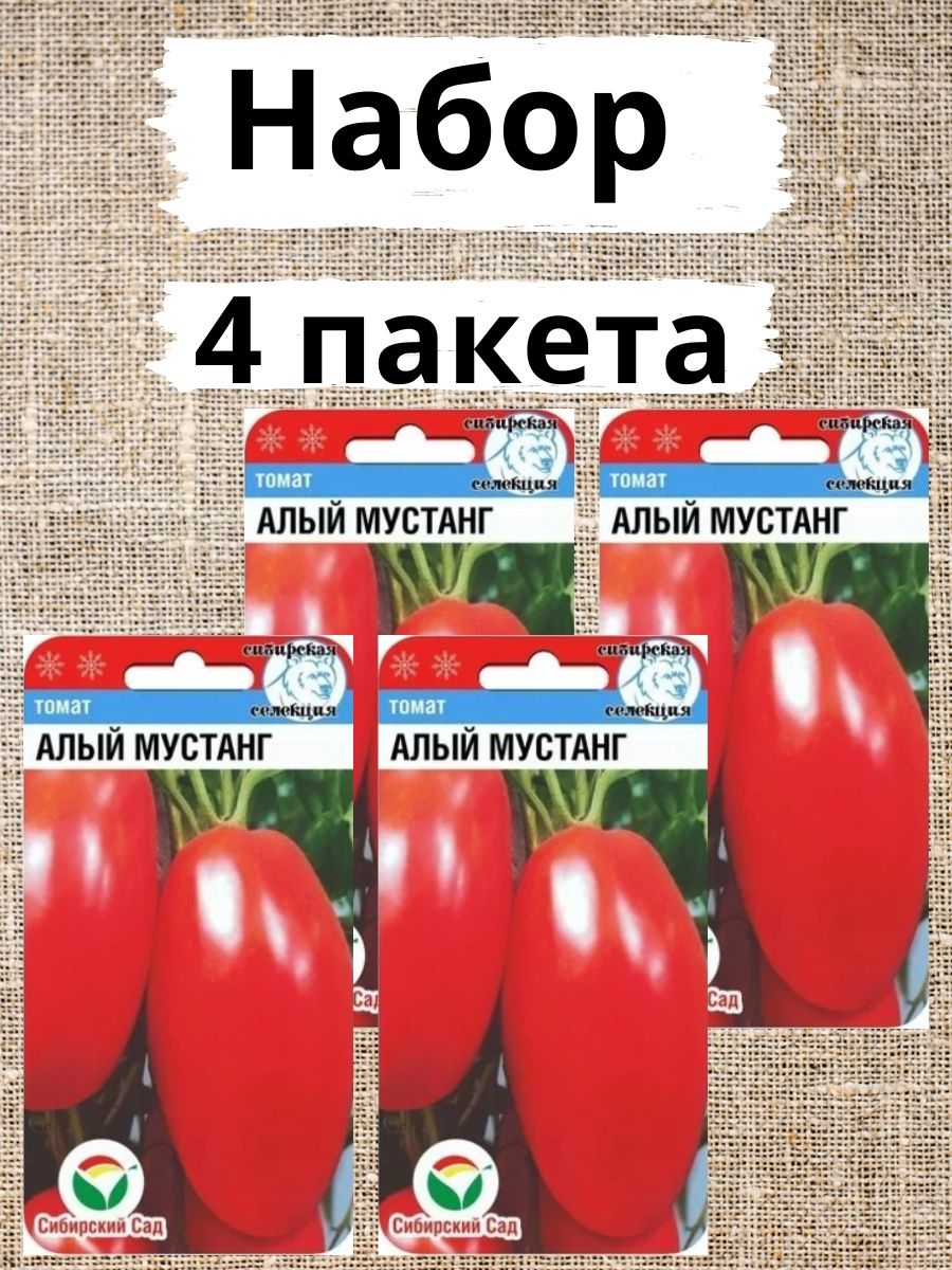 Томат алая заря характеристика. Томат алый Мустанг. Алый Мустанг томат описание. Сорт помидоров алый Мустанг. Томат алый Мустанг характеристика и описание.