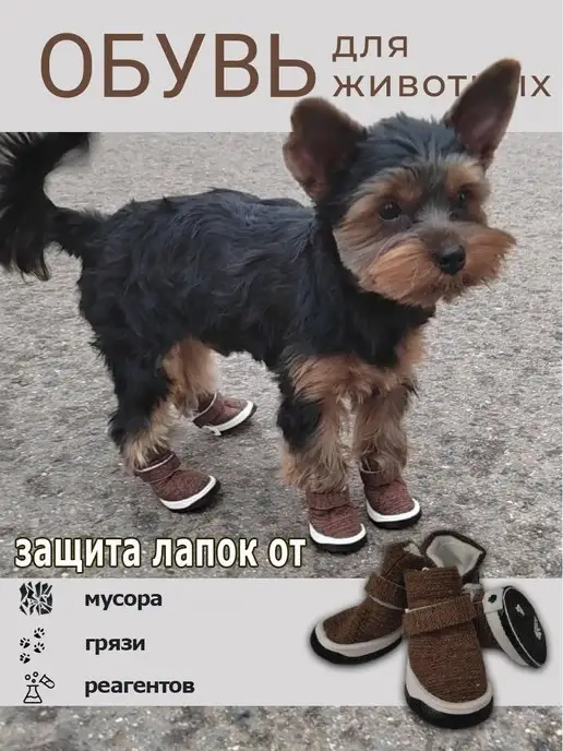 Cats&Dogs Летняя обувь для собак на липучке, коричневый
