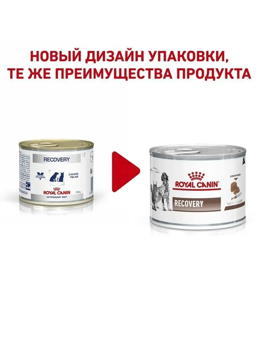 Royal canin recovery sales rs