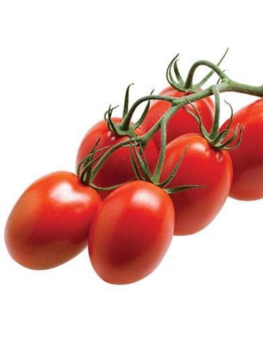 Первые семена томаты. Томат респект f1. Томат f1самкон 12. Мерлис f1 томат. Томат f1 Абрек.