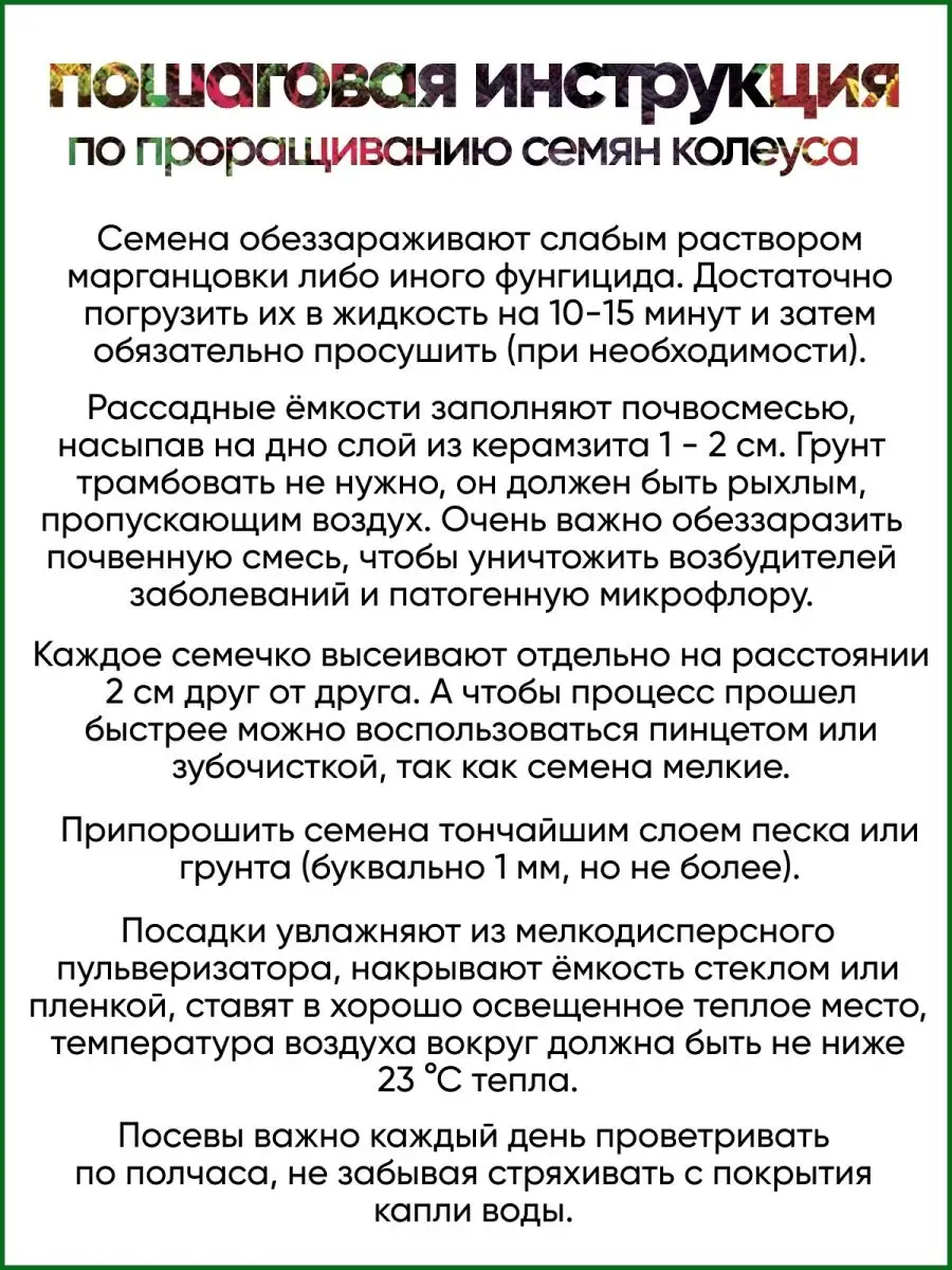 Многолетние цветы колеус семена блюме для дома и клумбы Агрофирма Аэлита  103149660 купить за 112 ₽ в интернет-магазине Wildberries