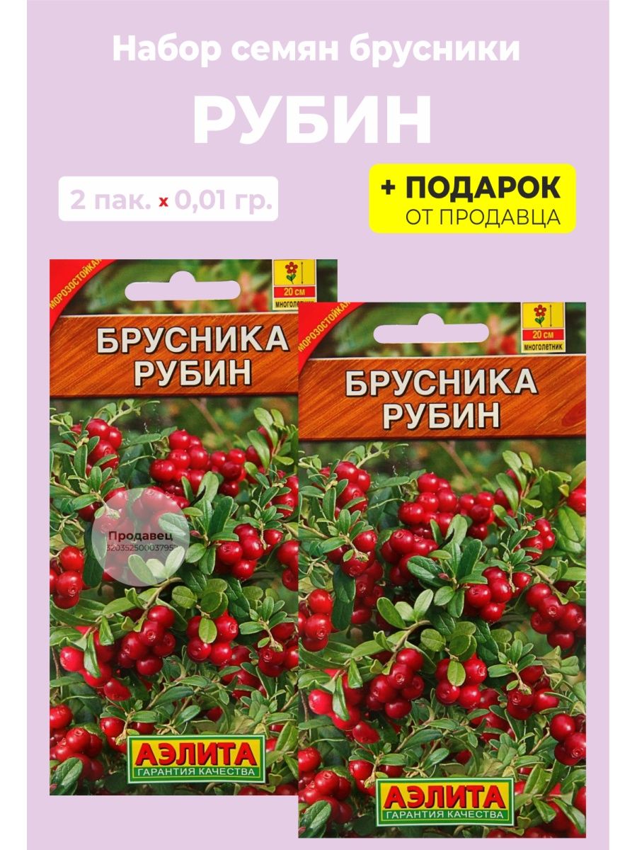 Семена брусника Рубин. Брусника Рубин 20шт Гавриш. Сорт брусники Рубин. Семена брусники