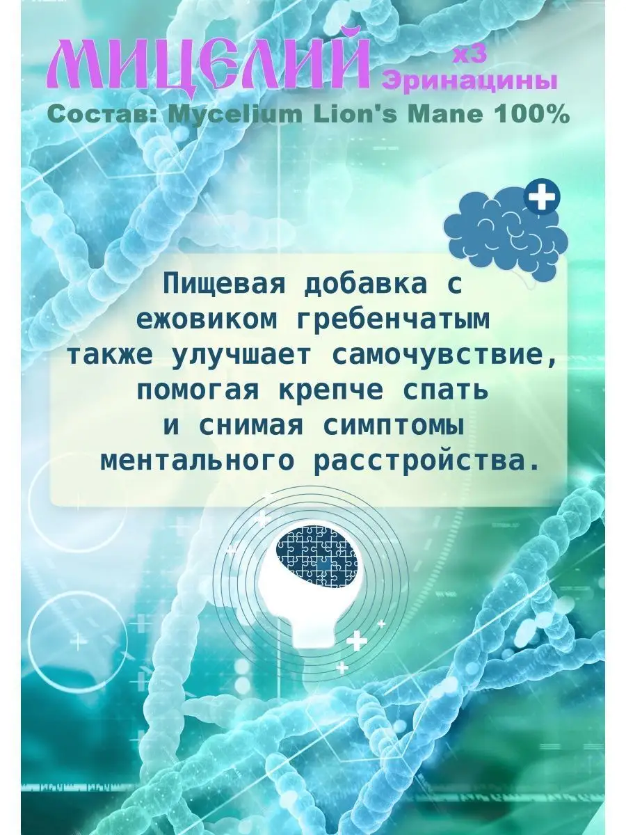 Ежовик гребенчатый мицелий в капсулах 100шт. Лесной лекарь 103250704 купить  за 475 ₽ в интернет-магазине Wildberries