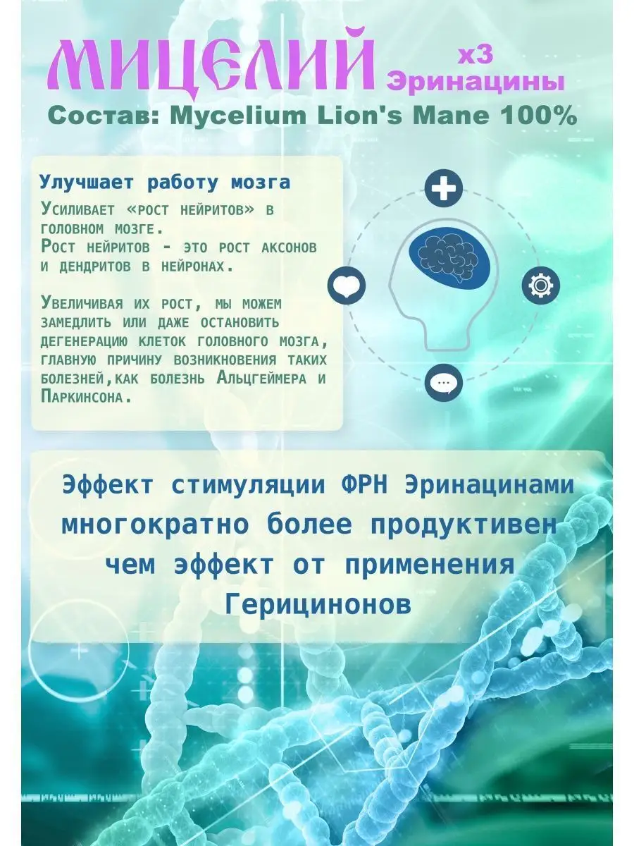 Ежовик гребенчатый мицелий в капсулах 100шт. Лесной лекарь 103250704 купить  за 475 ₽ в интернет-магазине Wildberries