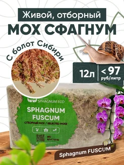 Универсальный грунт для растений, сфагнум фускум SPHAGNUM ECO 103303223 купить за 783 ₽ в интернет-магазине Wildberries