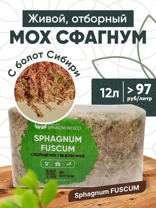 SPHAGNUM ECO Универсальный грунт для растений, сфагнум фускум