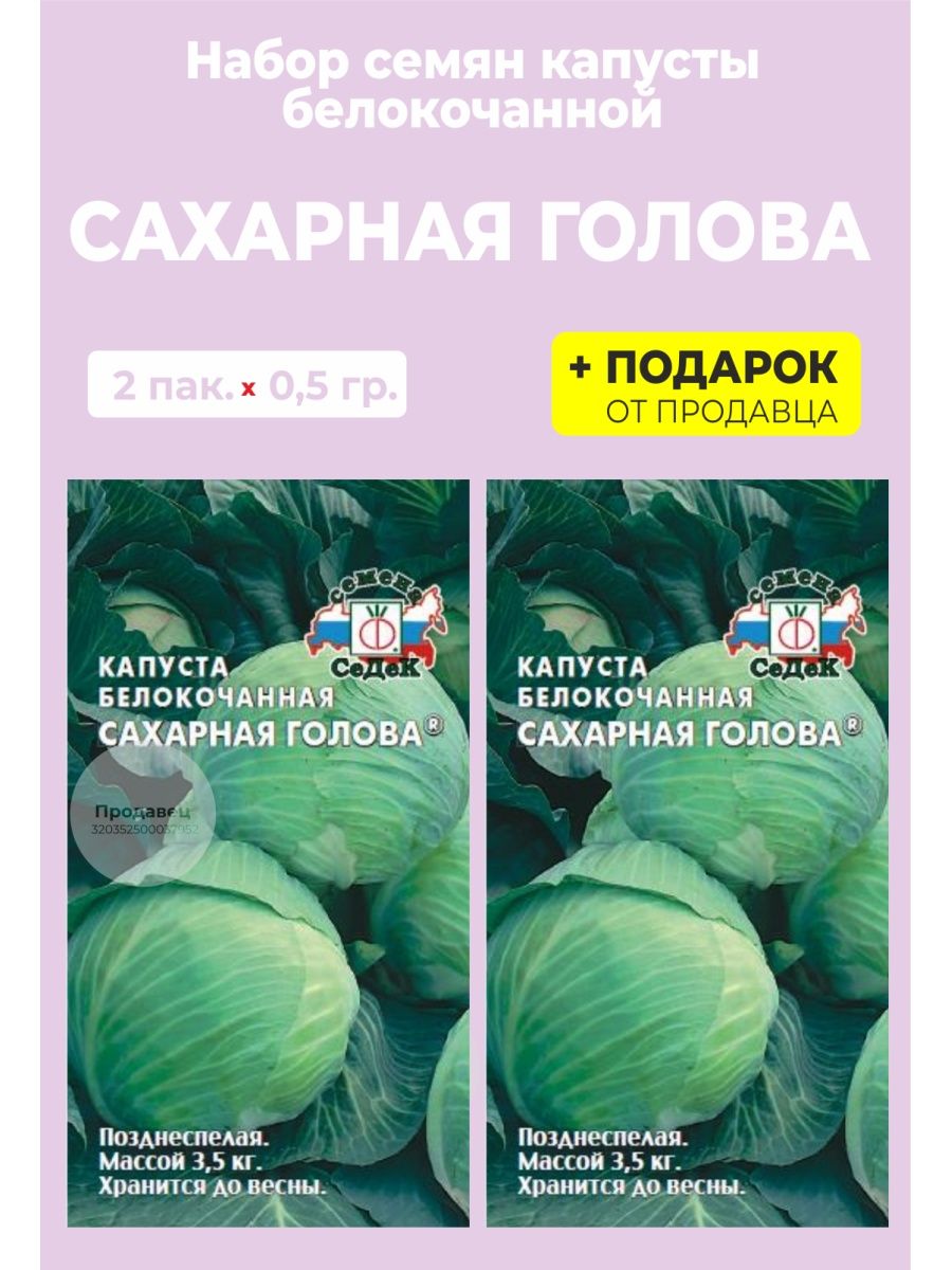 Капуста сахарная голова описание. Капуста «сахарная голова». Капуста сахарное сердце. Капуста сахарная голова описание сорта фото. Капуста сахарная молния описание.