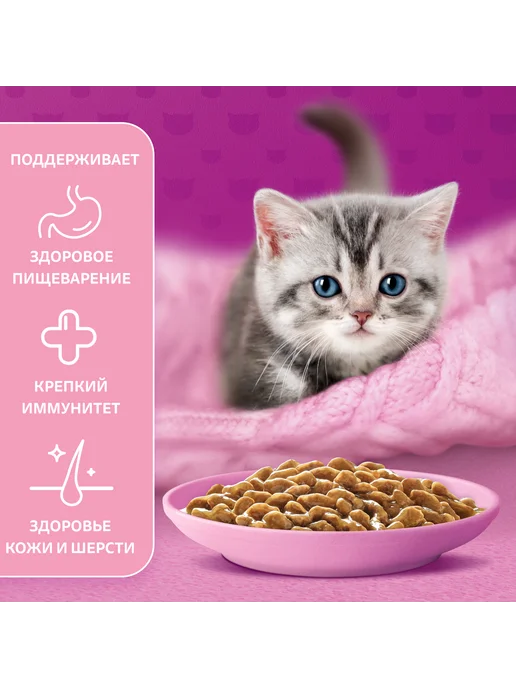 WHISKAS Влажный корм для котят, рагу с курицей 28х75 гр, 28x75, 75 г, фото 5
