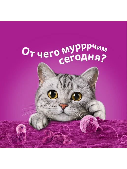 WHISKAS Влажный корм для кошек, желе с курицей 28х75 гр, 75 г, фото 8