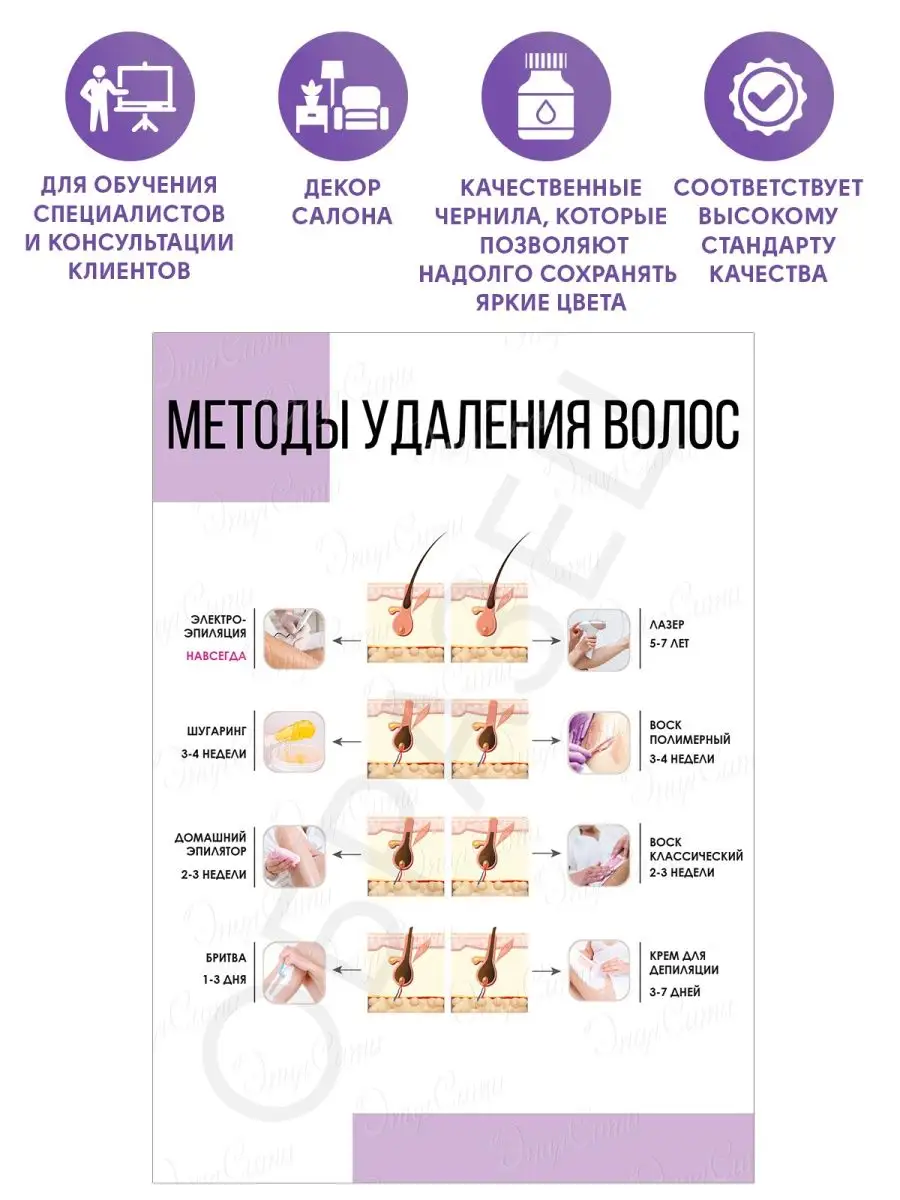 ЭпилСити Плакат обучающий косметологический Удаление волос