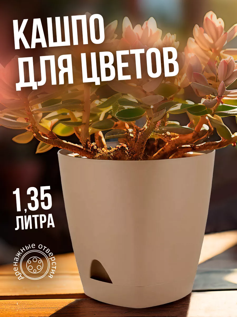 Кашпо для растений и цветов с поддоном