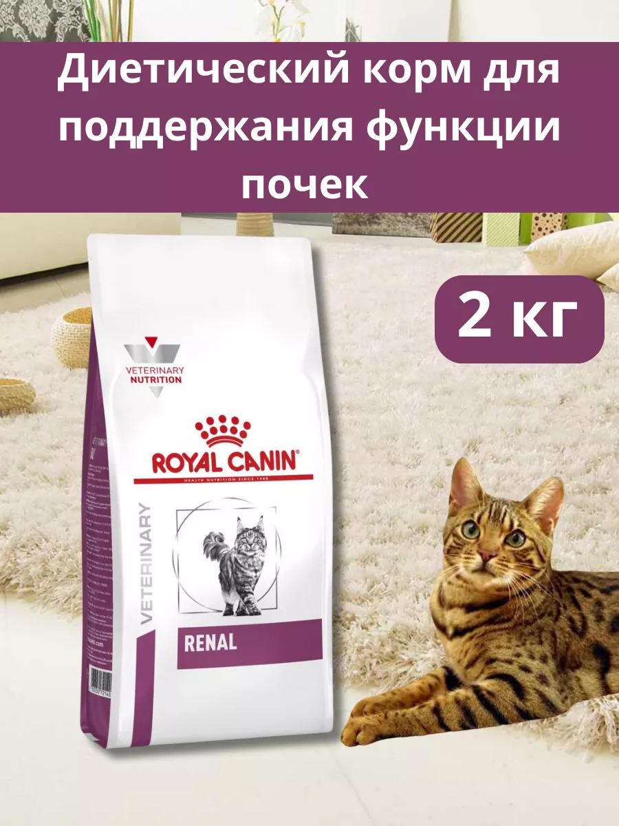 Renal Для Кошек Купить Спб