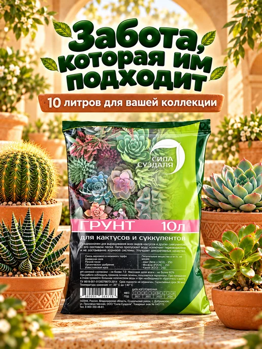 Сила Суздаля Грунт для кактусов и суккулентов готовый 10 литров, вариант, фото 7