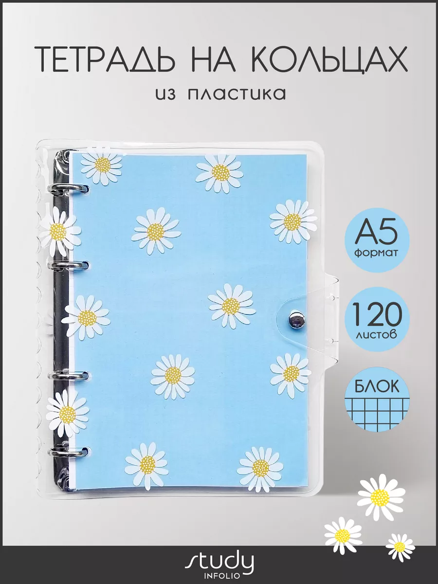 Тетрадь на кольцах А5 общая 120 листов пластик Infolio Study 103558974  купить за 722 ₽ в интернет-магазине Wildberries