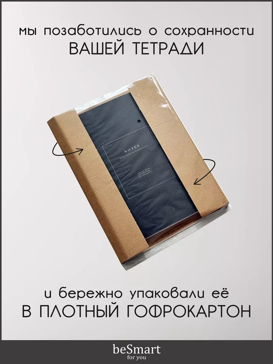 Тетрадь на кольцах А5 общая 120 листов пластик Infolio Study 103558974  купить за 722 ₽ в интернет-магазине Wildberries