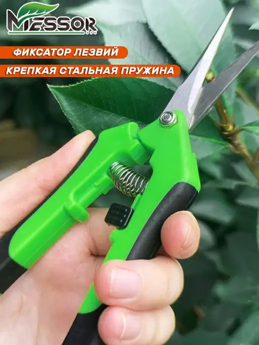 Messor Ножницы садовые для цветов домашние, зеленый, фото 2