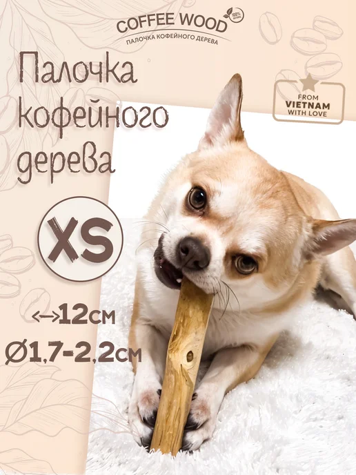 Палка кофейного дерева XS image