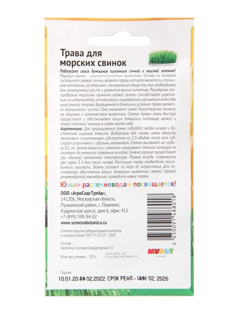 Семена Трава для морских свинок 10г МИ-МИ-МИШКИ 103625084 купить за 179 ₽ в  интернет-магазине Wildberries