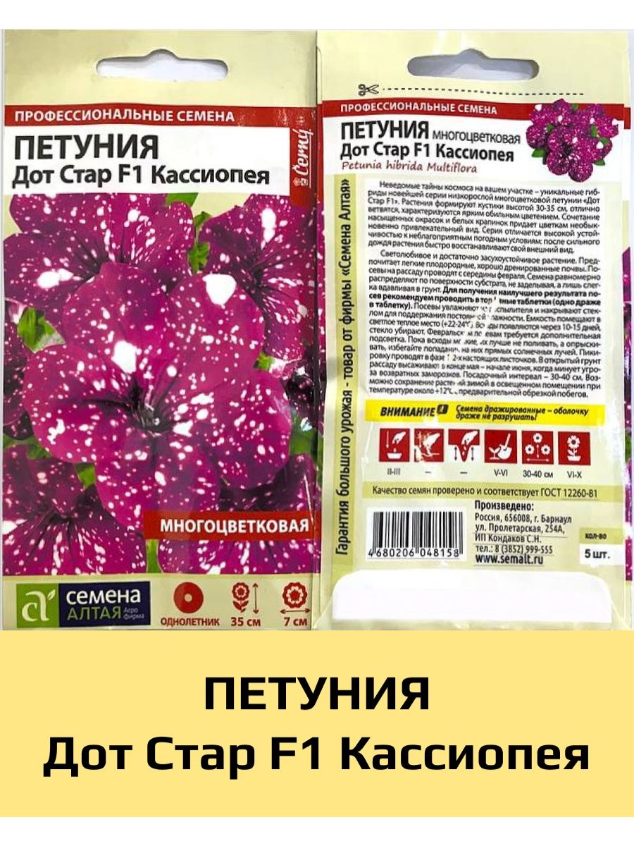 Петуния дот стар кассиопея. Петуния ДОТ Стар f1. Петуния ДОТ Стар f1 Андромеда. Петуния ДОТ Стар f1 смесь сортов.