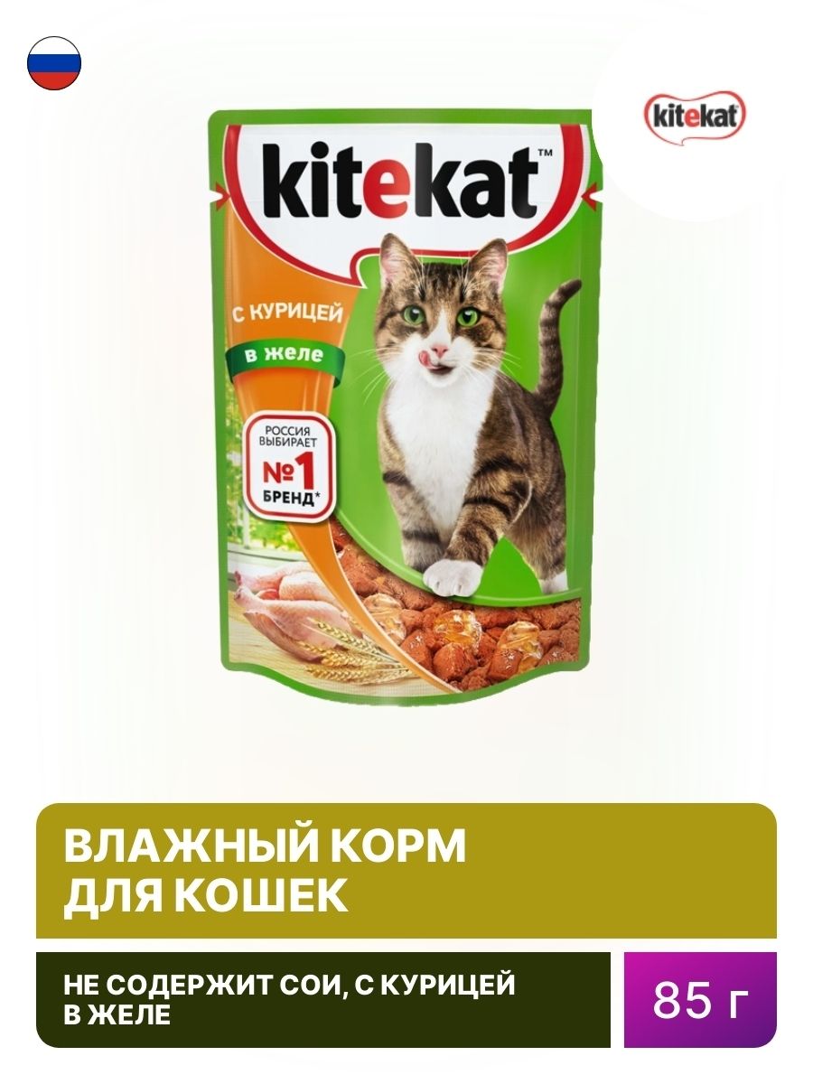 Влажный корм китикет. Китекат влажный корм. Kitekat влажный корм для кошек. Китекат влажный корм открытый. Китекат 85г*28 с курицей в соусе №174.