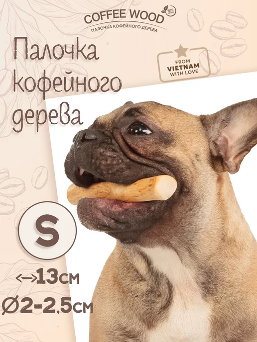 Палочка кофейного дерева S image