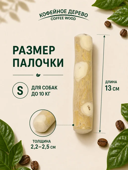COFFEE WOOD Игрушка для собак Палочка кофейного дерева M, бежевый, фото 3