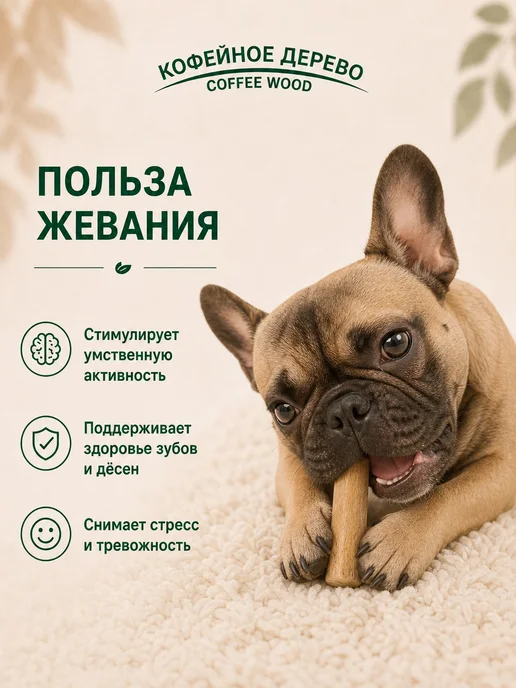 COFFEE WOOD Игрушка для собак Палочка кофейного дерева M, бежевый, фото 4