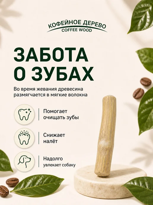 COFFEE WOOD Игрушка для собак Палочка кофейного дерева M, бежевый, фото 5