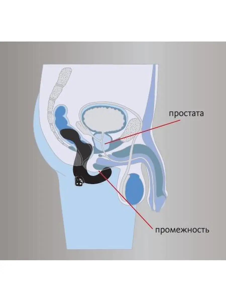 Массажер простаты анальный стимулятор Duke Fun Factory 103755601 купить за  4 880 ₽ в интернет-магазине Wildberries