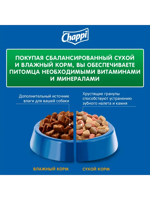 Сухой корм CHAPPI По-Домашнему для собак, говядина, 0,6 кг, фото 6
