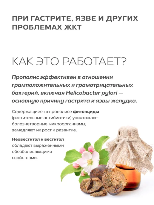 АЛТАЙСКИЙ НЕКТАР Прополис натуральный в таблетках для иммунитета и здоровья, вариант, фото 5