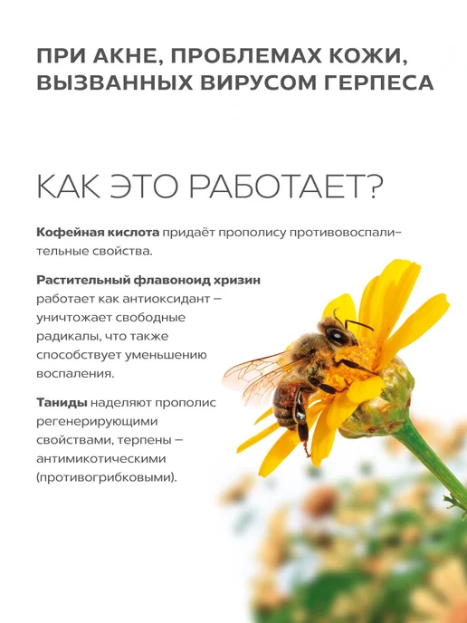 АЛТАЙСКИЙ НЕКТАР Прополис натуральный в таблетках для иммунитета и здоровья, вариант, фото 7