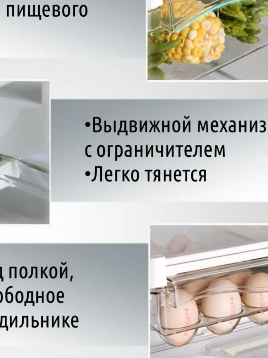 Полка для яиц, выдвижная в холодильник SLAUTIN BRAND 103786466 купить за  937 ₽ в интернет-магазине Wildberries