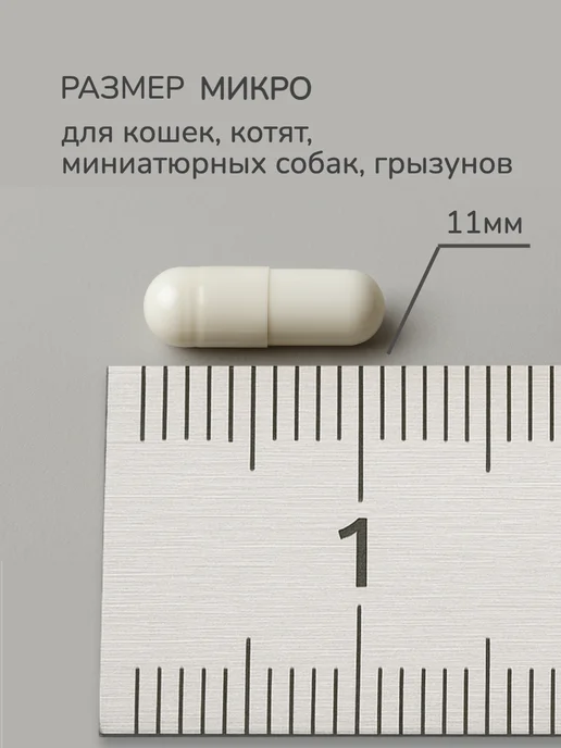 Зооштучки Желатиновые пустые капсулы микро для животных, размер 5, 50 шт, фото 3