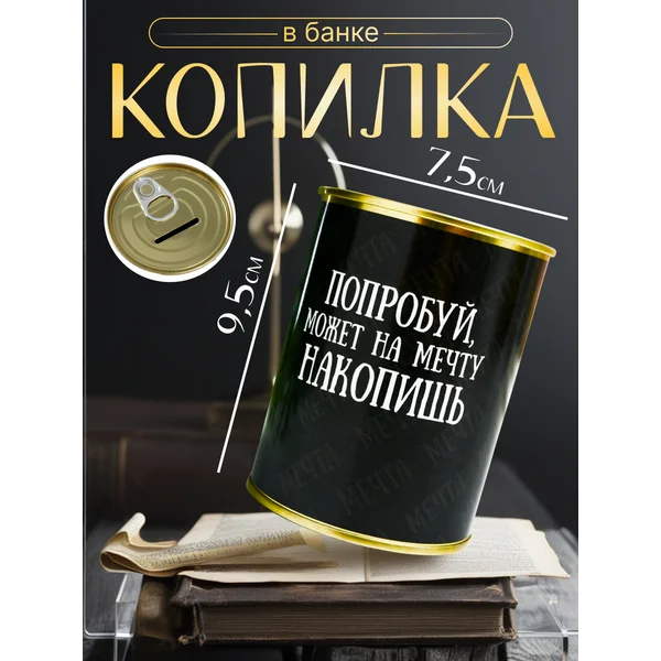 Копилка-банка металл «Попробуй, может на мечту накопишь»