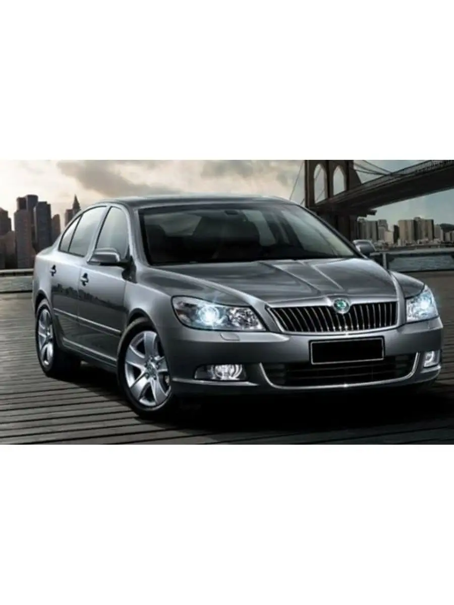 Skoda Octavia A5 2004-2013 год Шкода Октавия А5 МАЙТОН 104096041 купить за  974 ₽ в интернет-магазине Wildberries