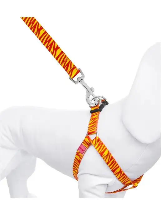 PetShop Поводок для кошек и собак "Сириус" 2 метра Tappi, 2 м, фото 4