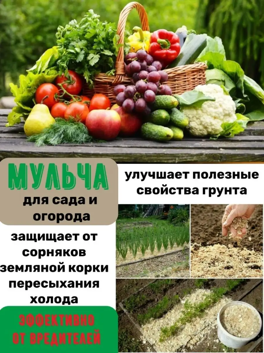 Мульчирование клубники и земляники - здоровый урожай