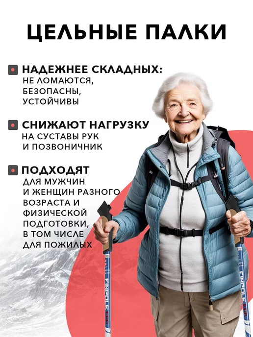 Finland Brand Палки для скандинавской ходьбы карбоновые, серый, фото 2