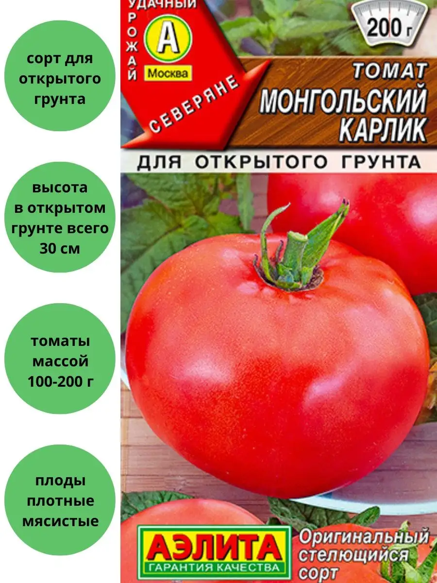 Томат Монгольский карлик Агрофирма Аэлита 104519514 купить за 102 ₽ в  интернет-магазине Wildberries