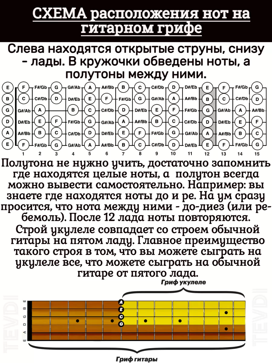 Наклейки на укулеле обучающие на гриф для начинающих TEVDI 104535490 купить  за 280 ₽ в интернет-магазине Wildberries