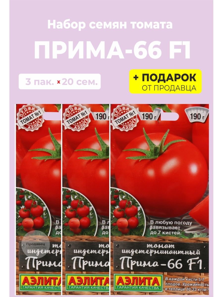 Сорт томата примо ред. Томат Прима 66. Томат Прима 66 f1. Томат Прима ред. Томат Прима Голд.