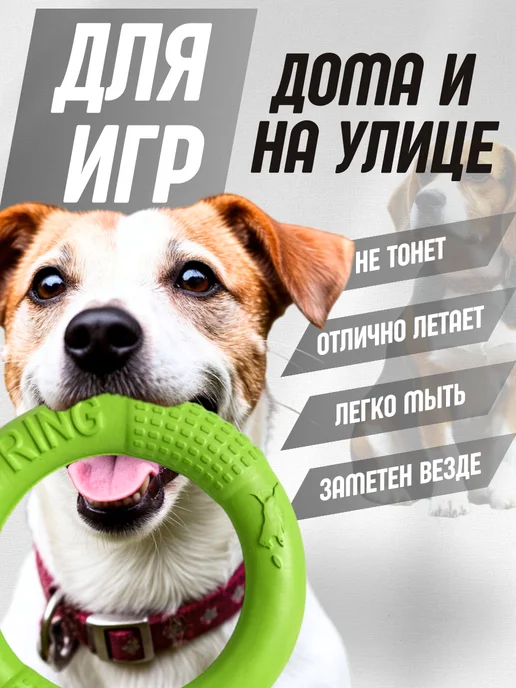 PETSTEP Кольцо пуллер для собак прочное (как фрисби) 18 см, зеленый, фото 3